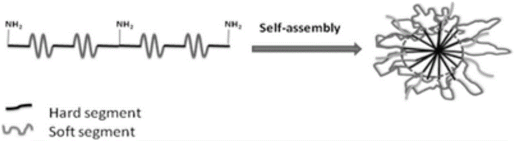 一种两亲性聚氨酯自组装纳米颗粒及其制备和应用的制作方法与工艺