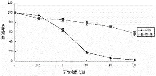 一种含有顺铂的抗癌药物组合物的制作方法与工艺