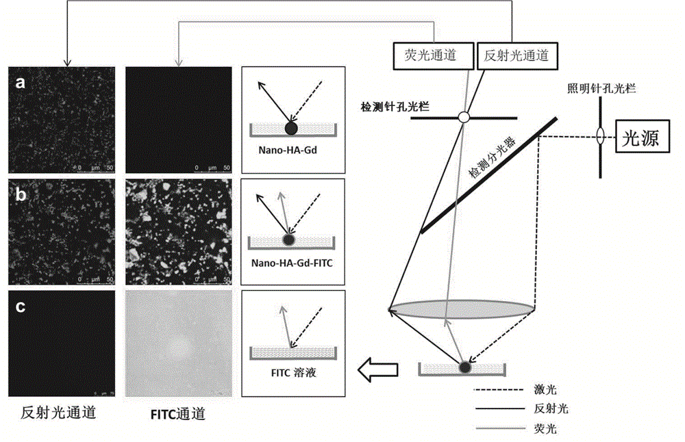 一種含釓羥基磷灰石納米顆粒的檢測(cè)方法與流程