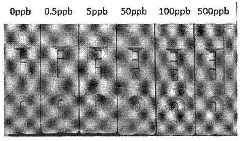 一种可用于快速诊断的免疫胶体碳的制备方法与流程
