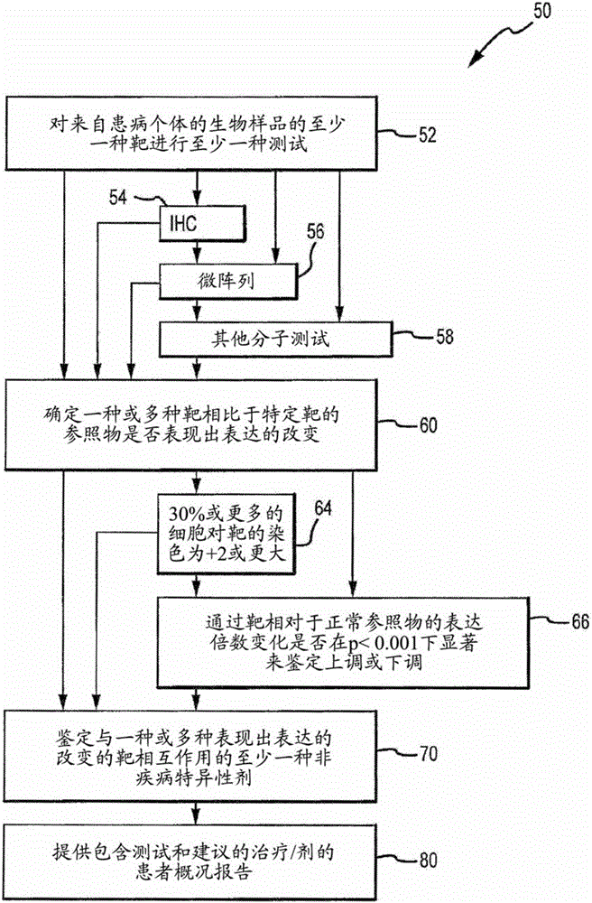 描绘肿瘤类型生物标志模式和特征集的基因靶和基因表达的蛋白靶的制作方法与工艺