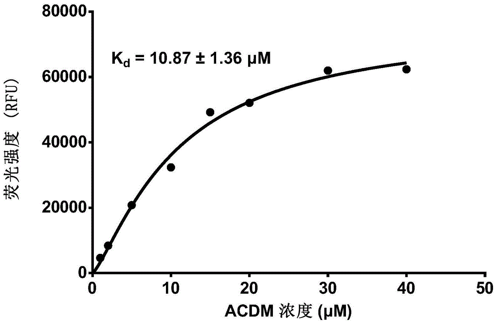 一種定量測(cè)定生物樣品中白蛋白含量的方法及應(yīng)用與流程