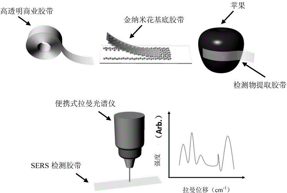 表面增强拉曼散射检测胶带、其制备方法和应用与流程