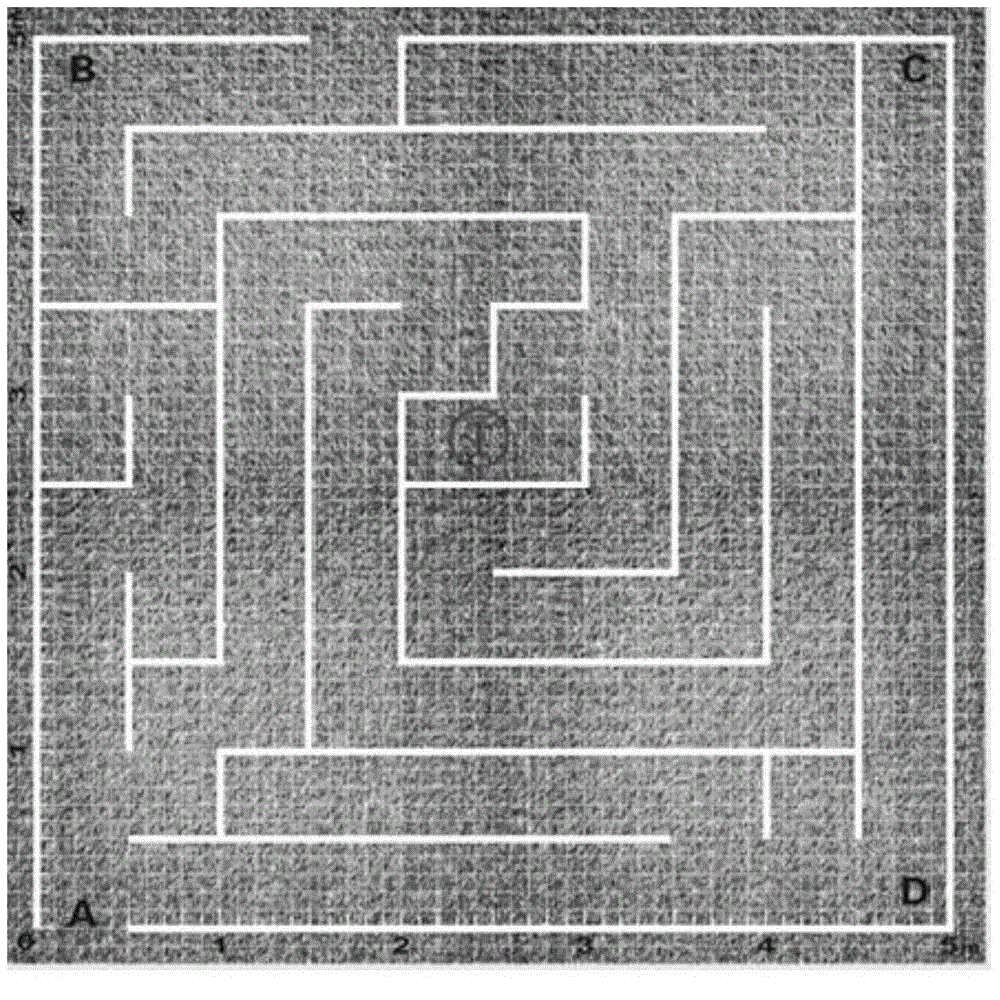 一種基于迷宮的北斗RNSS定位精度顯示系統(tǒng)的制作方法與工藝