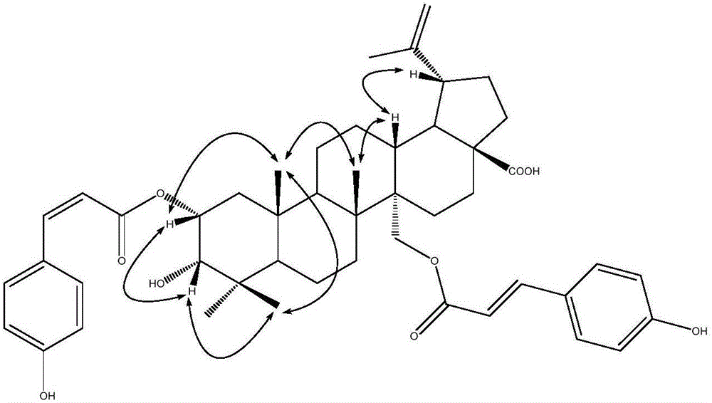 白樺脂酸衍生物的制作方法與工藝