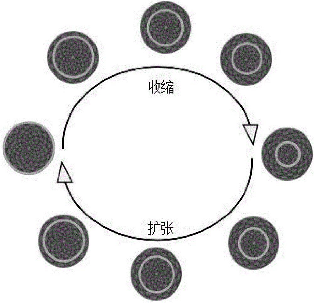 基于等亮度色彩強(qiáng)化的穩(wěn)態(tài)運(yùn)動(dòng)誘發(fā)電位腦?機(jī)接口方法與流程