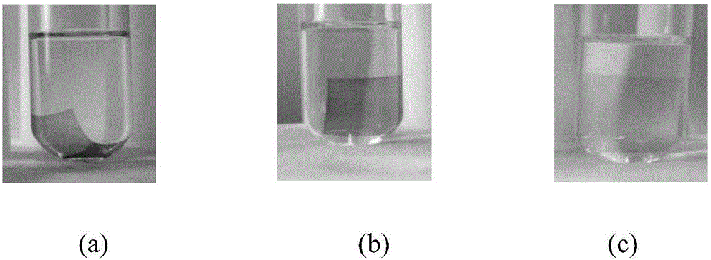 一种含有镍（Ⅱ）螯合配合物的Nafion膜的制备方法与流程