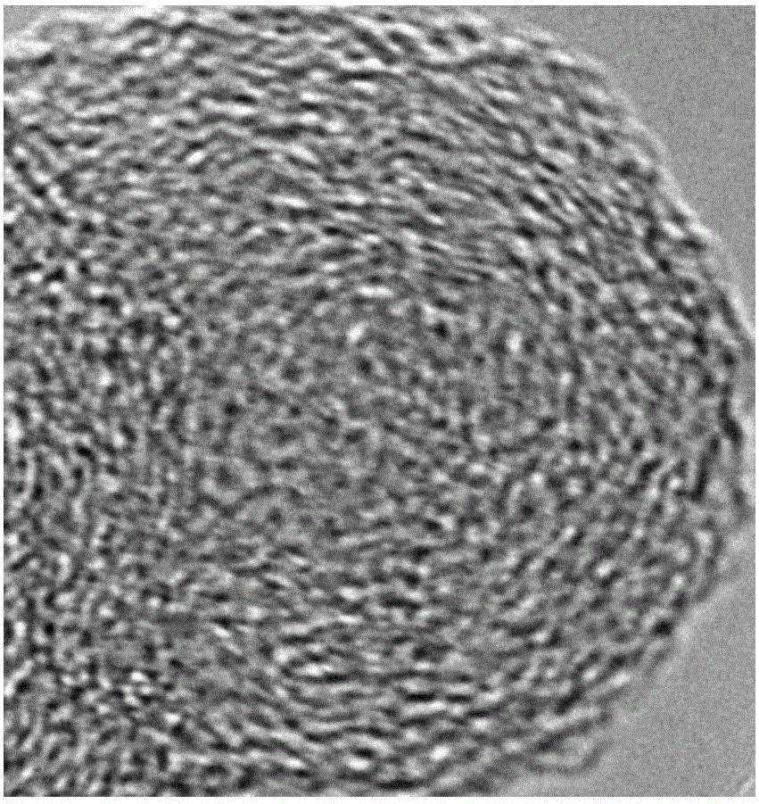 一种基于图像处理技术的含碳颗粒物纳米结构分析的方法与流程