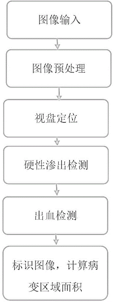 基于形态学分割的眼底图像病变检测方法与流程