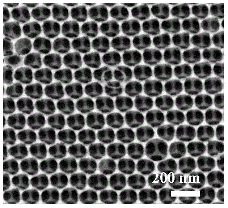 具体地涉及一种纳米粒子堆积的三维有序大孔结构二氧化钛薄膜及它们的