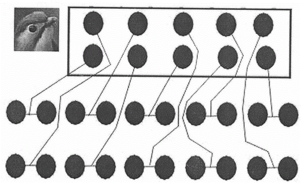 小學(xué)生數(shù)學(xué)練習(xí)板的制作方法與工藝