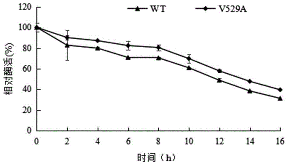 一種提高α?L?鼠李糖苷酶r?Rha1熱穩(wěn)定性的方法與流程