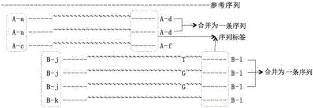 一种分子标签的制备方法与流程