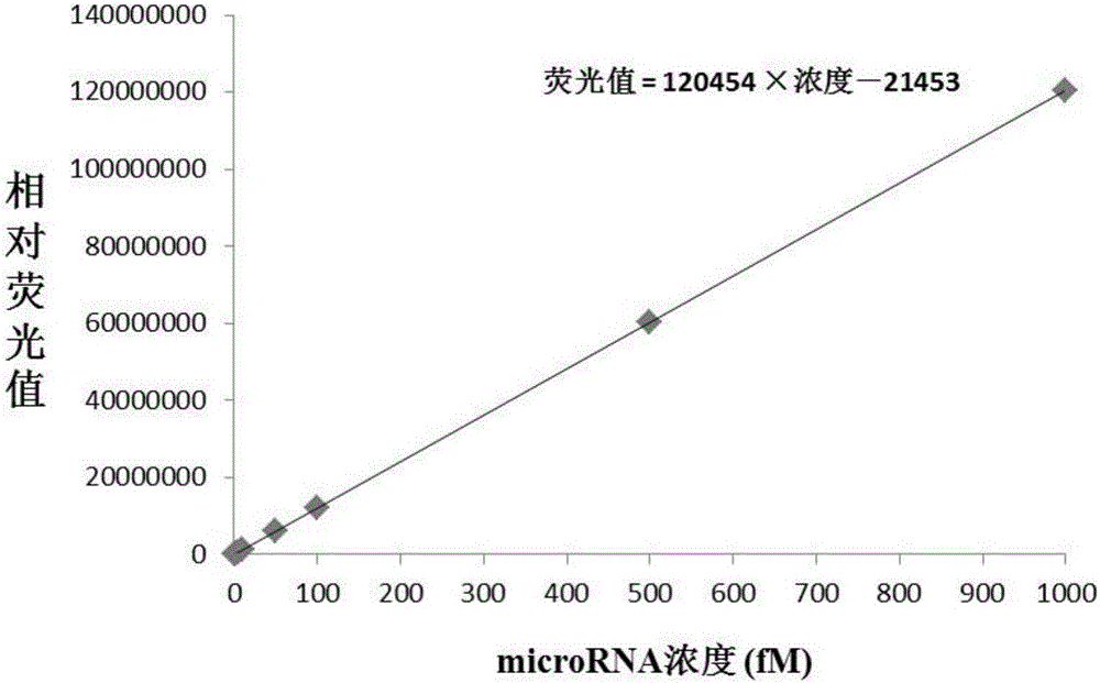 一種利用單鏈特異性核酸酶檢測(cè)microRNA含量的方法與流程