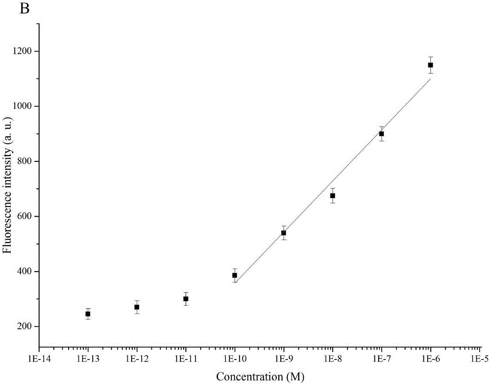 一種microRNA?133a的快速檢測(cè)方法與流程