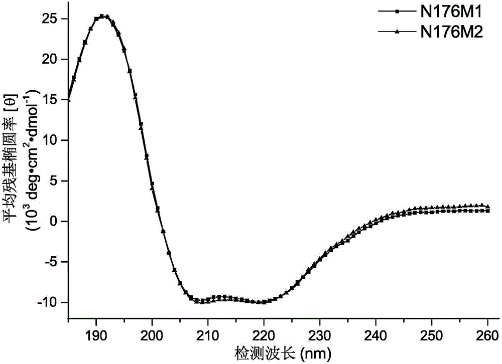 头孢菌素酰化酶突变体及其编码基因与应用的制作方法与工艺