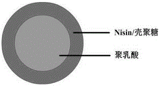 一种同轴静电纺丝制备Nisin/壳聚糖/聚乳酸复合纳米纤维毡的方法与流程