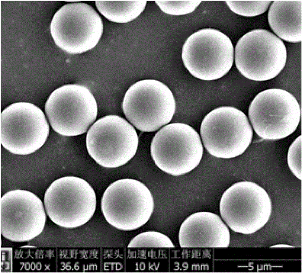 碳纳米管导电球的制备方法与流程