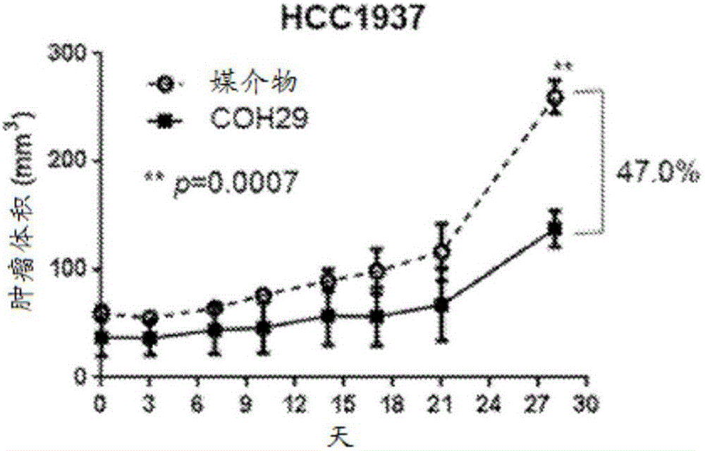 BRCA1缺陷性癌癥或抗性癌癥的治療的制作方法與工藝