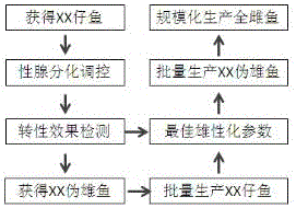 一种黄颡鱼雄性化诱导生产XX♂伪雄鱼的方法与流程
