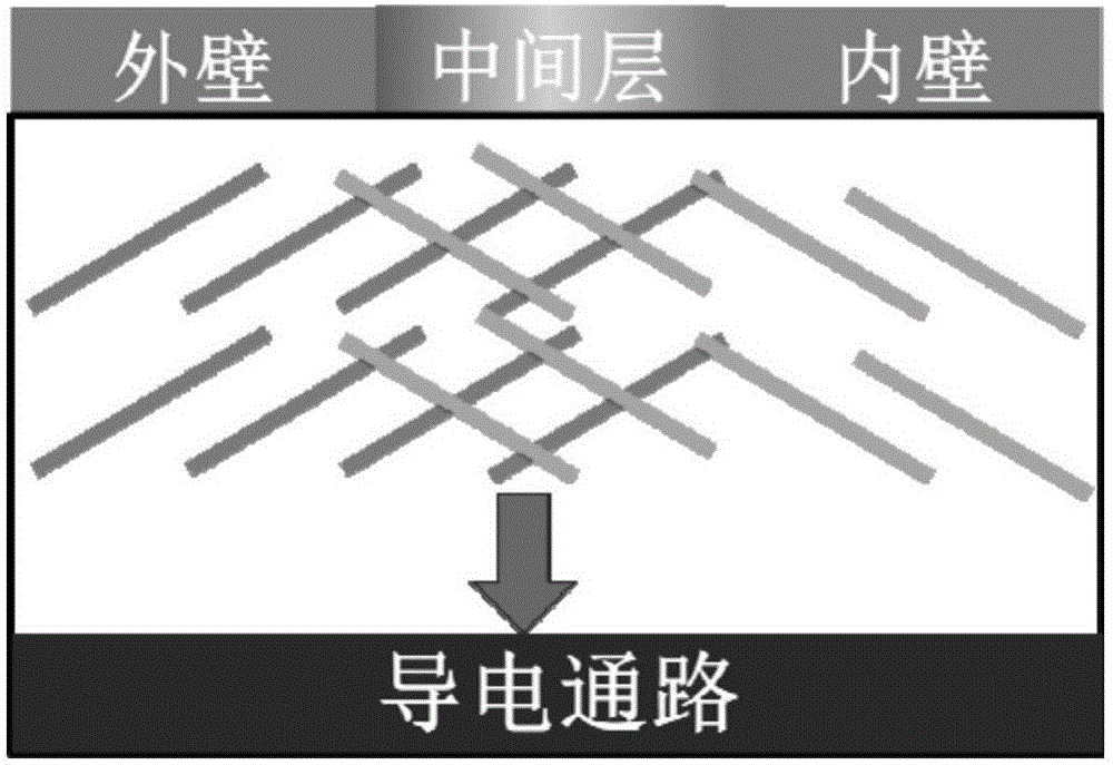 轴径双向电导率可控导电聚合物管及其制备方法与流程