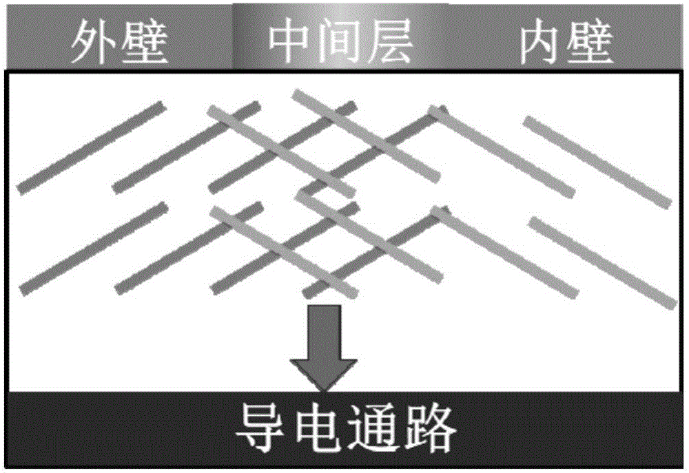 軸徑雙向電導率可控導電聚合物管及其制備方法與流程