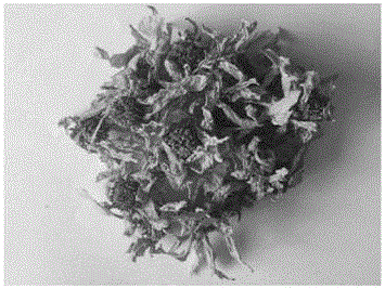 菊芋花茶及其制作方法與流程