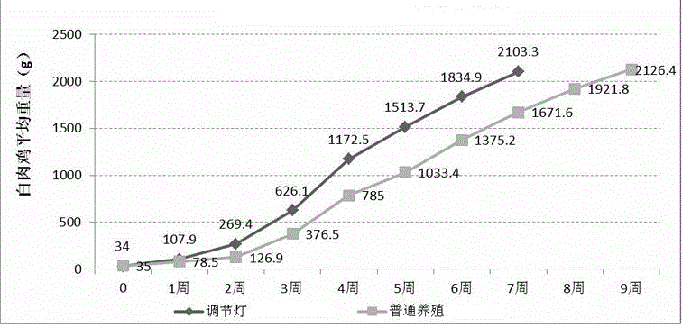 禽類生長調(diào)節(jié)燈的制作方法與工藝