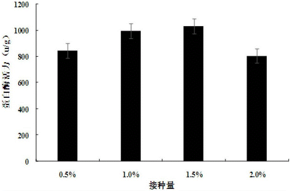 一种富产γ‑氨基丁酸的乳酸菌型豆豉的制作方法与流程