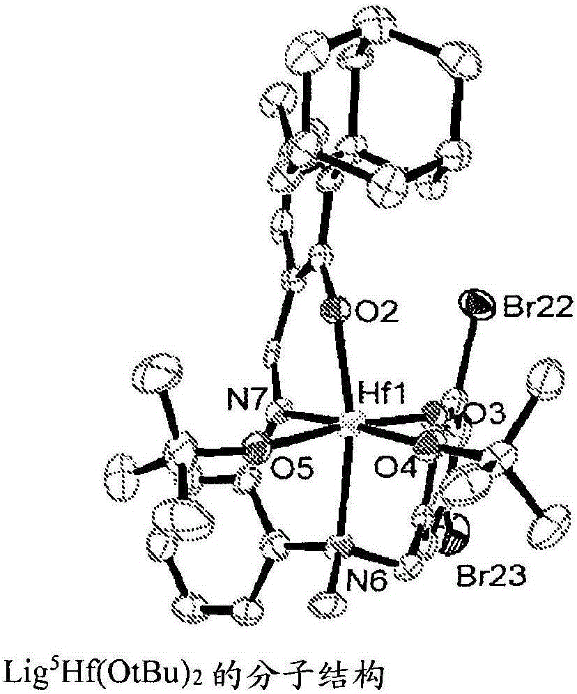 亚苯基桥连的 SALALEN 催化剂的制作方法与工艺