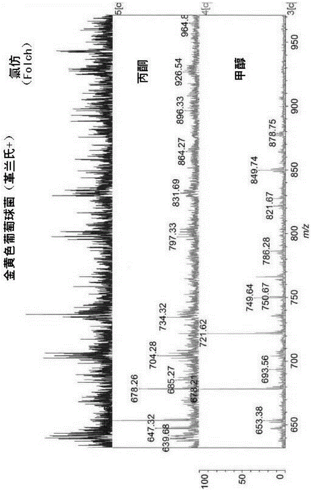 微生物分析的制作方法與工藝