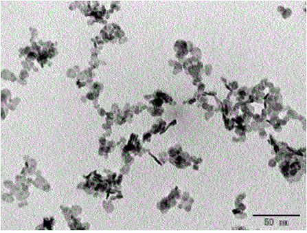 一种超小粒径二氧化铈纳米片材料的制备方法与流程