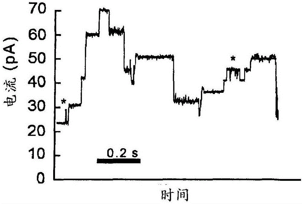 蛋白質(zhì)特征的基于納米孔的分析的制作方法與工藝