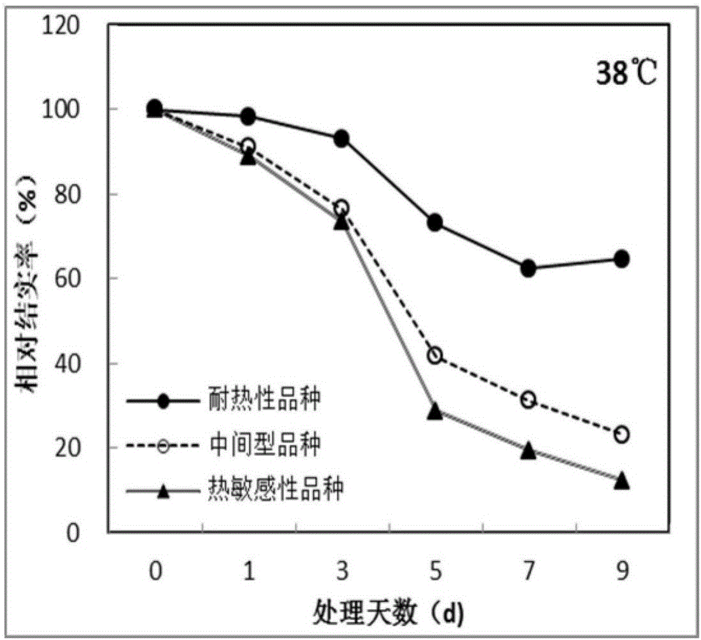 一種水稻高溫?zé)岷Φ念A(yù)警方法與流程