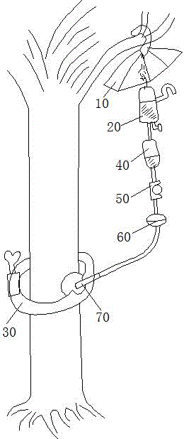 一種果樹輸液裝置的制作方法