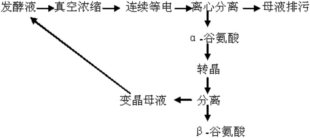 谷氨酸生产中变晶母液循环利用的方法与流程