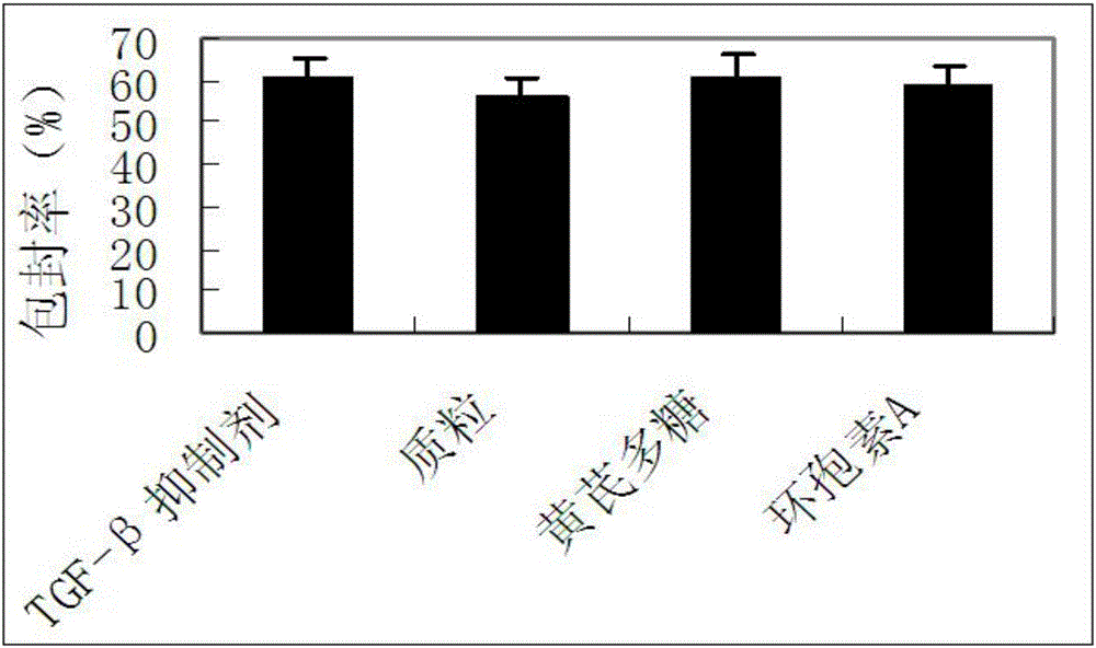 一種NK細(xì)胞膜仿生脂質(zhì)體藥物載體、制作方法及其應(yīng)用與流程