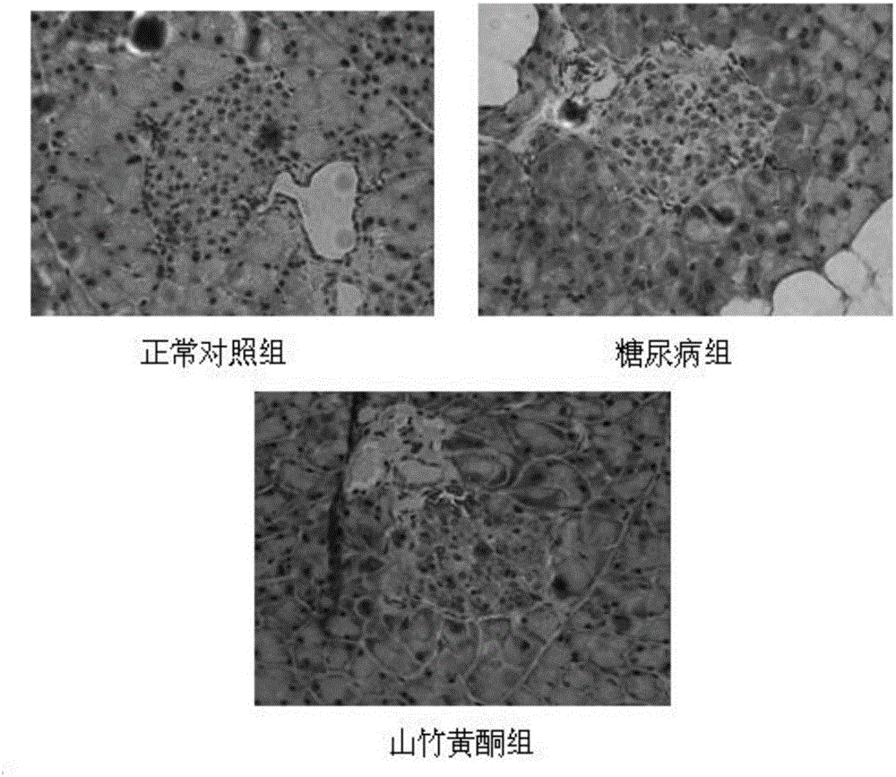 α－山竹黃酮的新用途的制作方法與工藝