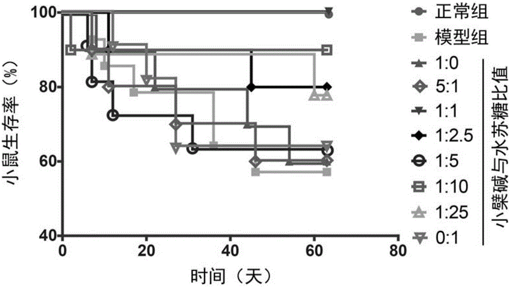 鹽酸小檗堿和水蘇糖組成的組合物及其應(yīng)用的制作方法與工藝