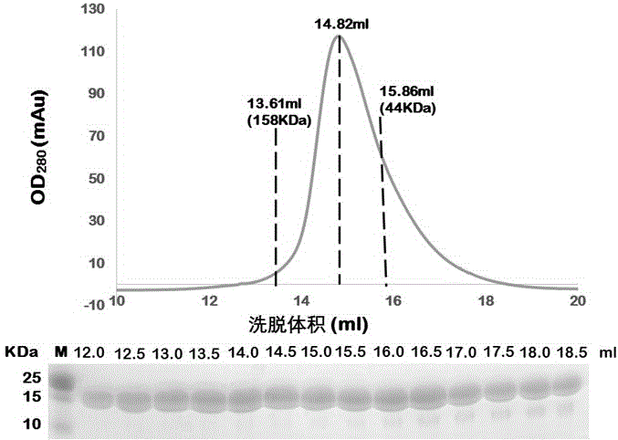 一种嗜低温蛋白酯酶E10及其表达纯化、晶体结构和应用的制作方法与工艺