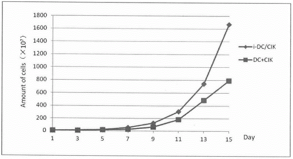 高效特异i-DC/CIK细胞培养方法与流程