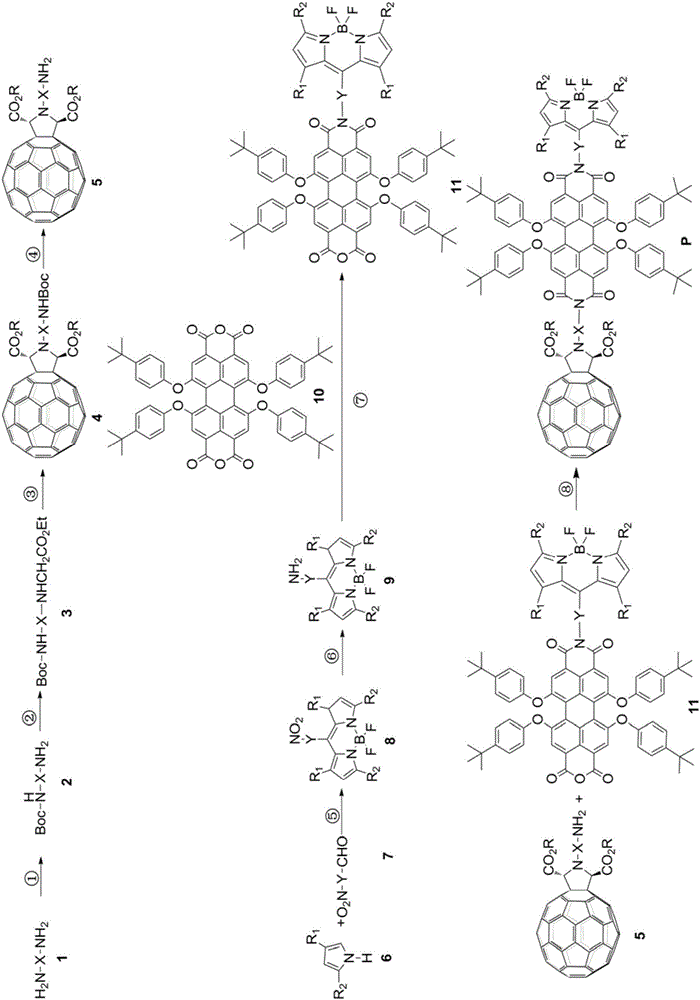 一种富勒烯‑苝‑氟硼荧三重态光敏分子及其制备方法与流程