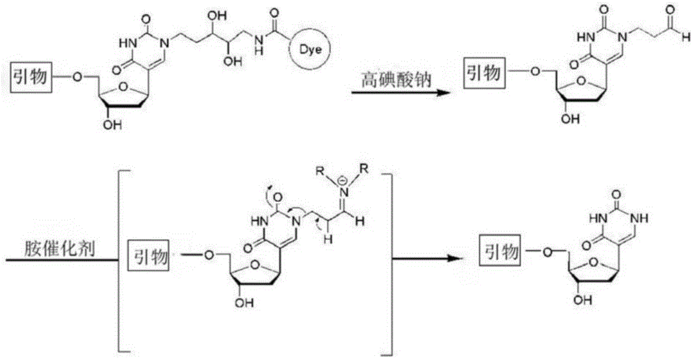 可完全去疤的可逆末端終止功能核苷酸及其應(yīng)用的制作方法與工藝