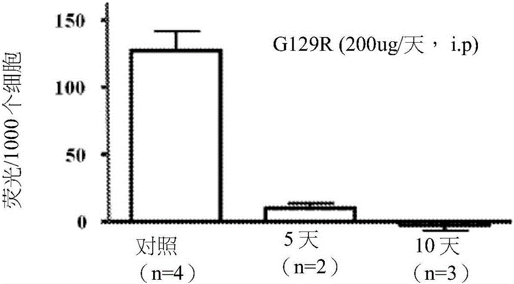 用于治療卵巢癌的催乳素受體拮抗劑和化療藥物的用途的制作方法與工藝