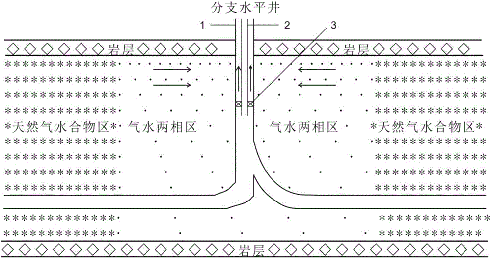 一种天然气水合物降压开采和CO2埋存结合的工艺方法与流程