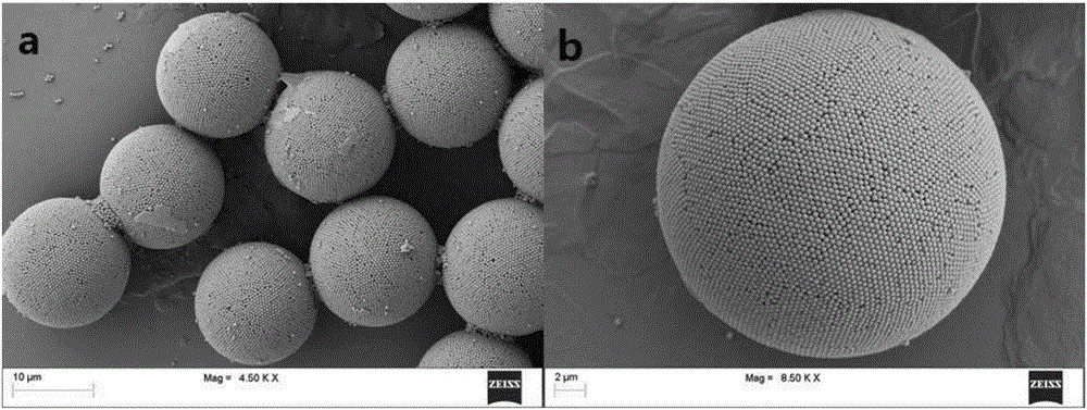 一种具有拉曼活性的微球及其制备方法与流程