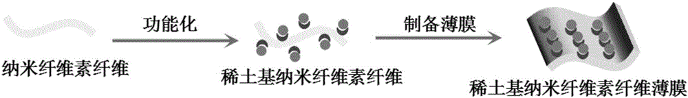 一種有紫外線過濾性能的稀土基納米纖維素纖維薄膜及其制備方法與流程