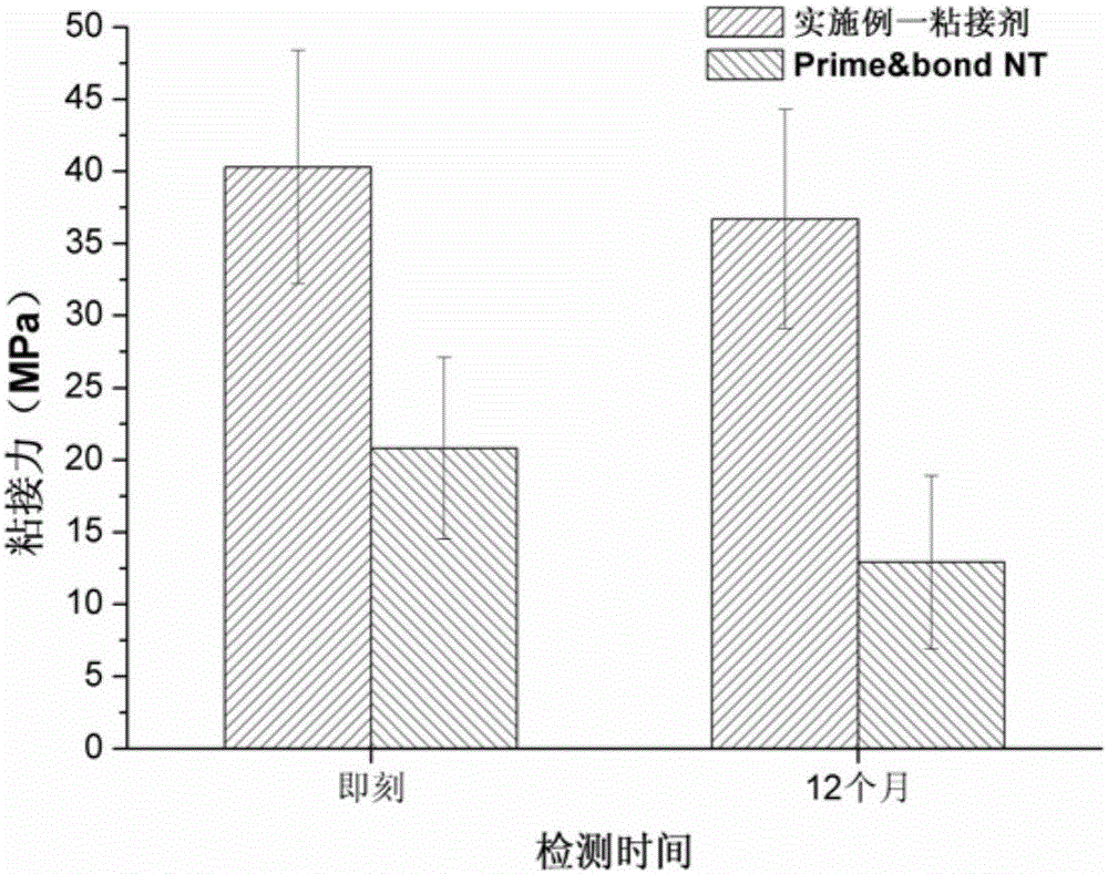 基于疏水粘接新理念的牙粘接剂系统的制作方法与工艺