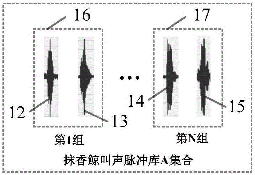 利用抹香鯨叫聲脈沖的目標(biāo)距離和速度探測(cè)方法與裝置與流程