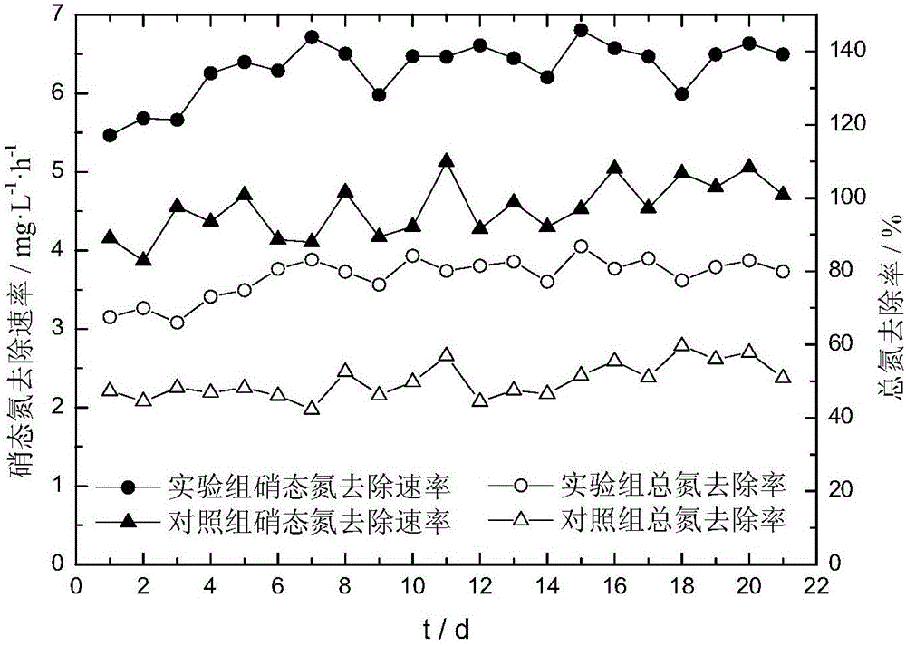 一種基于再生水深度脫氮除磷的復(fù)合填料的制備方法及其應(yīng)用與流程